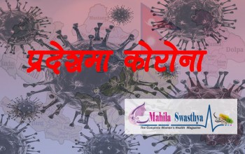 पछिल्लो २४ घण्टामा काठमाडौं उपत्यकामा ३०९ जना कोभिड–१९ संक्रमित , देशभर कुन प्रदेशमा कति ?